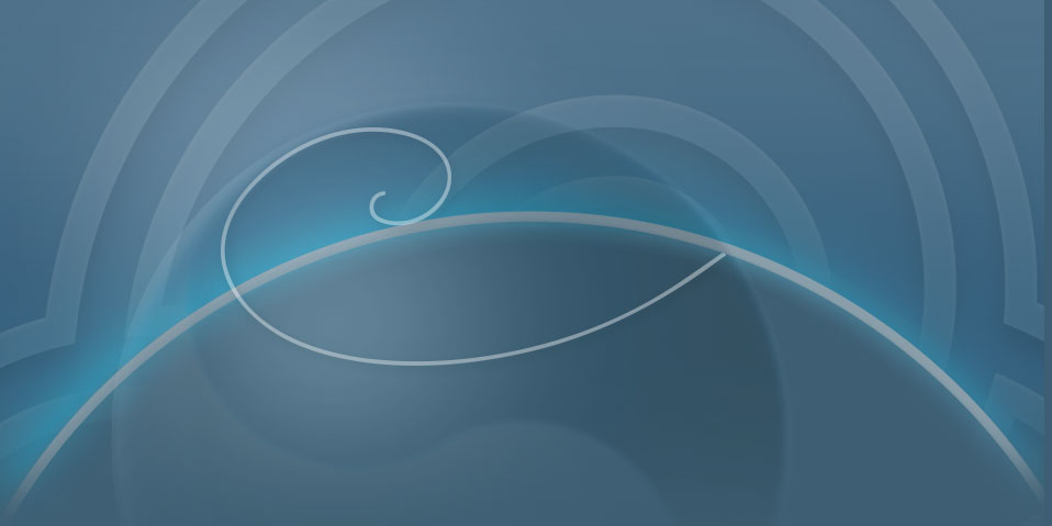 www.spiritans.com